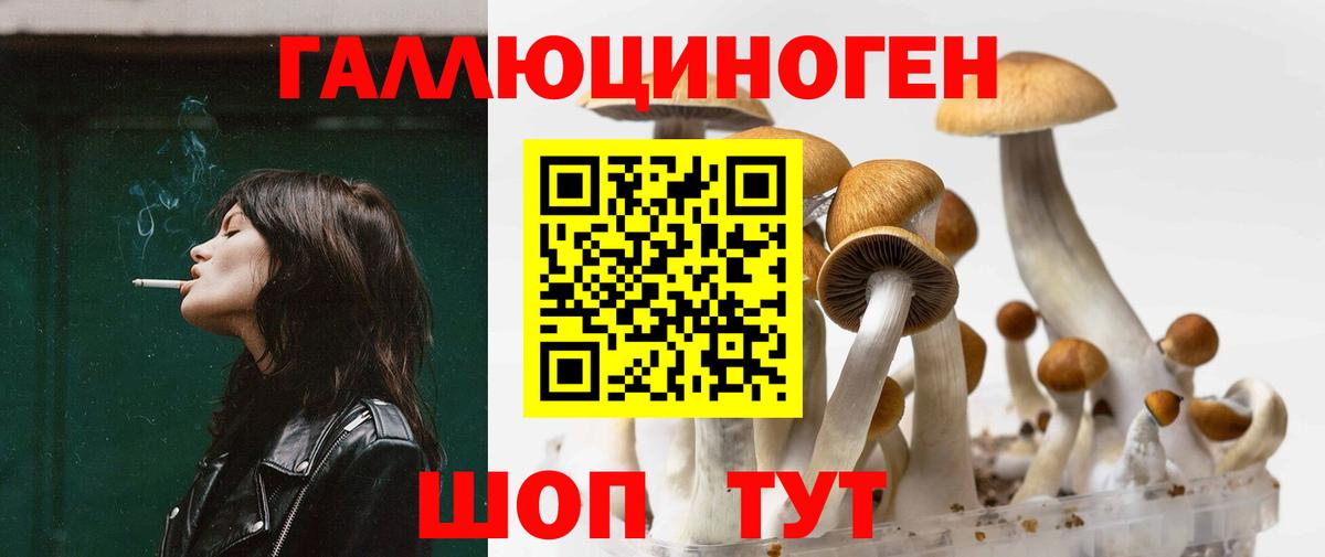 Галлюциногенные грибы Psilocybine cubensis  что такое   Вход с VPN  Павловский Посад  Галлюциногенные грибы мухоморы 